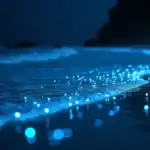 Isla Vaadhoo en Maldivas: el mar que brilla como un cielo estrellado